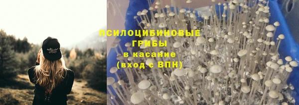 винт Верхний Тагил