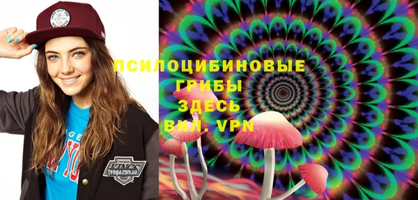 сатива Верхнеуральск