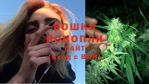 твердый Пересвет