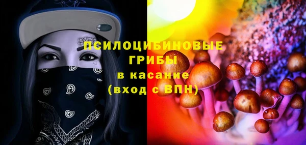 сатива Верхнеуральск
